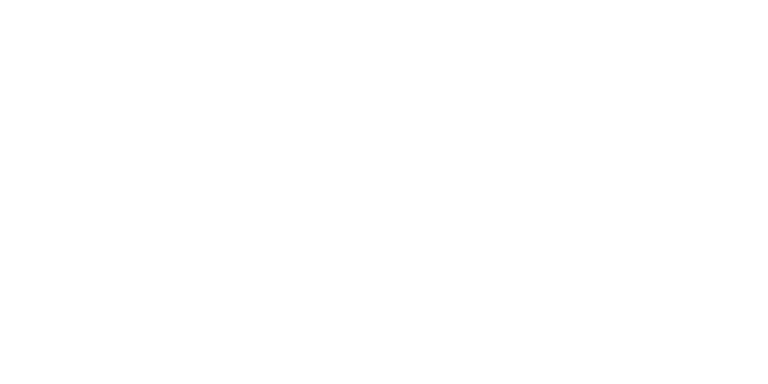 DYGITIZED® - the digital experts network 21 Dr Niedermaier Logo weiss 2025 DYGITIZED®